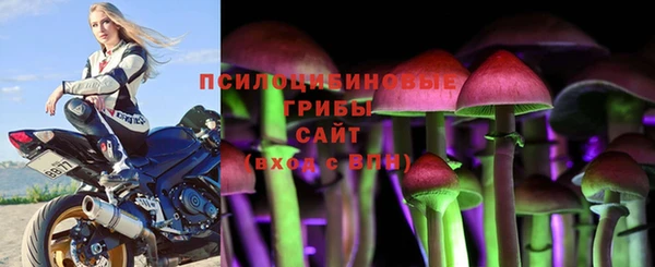 спайс Аркадак