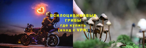 спайс Аркадак