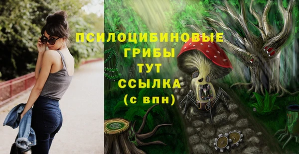 спайс Аркадак