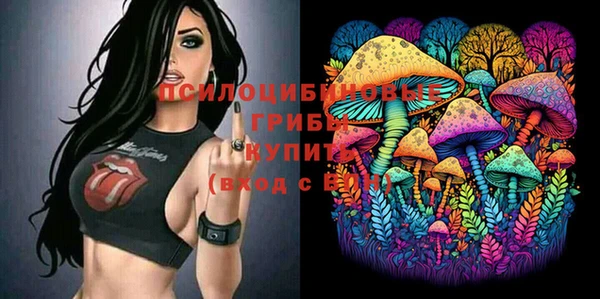spice Покровск