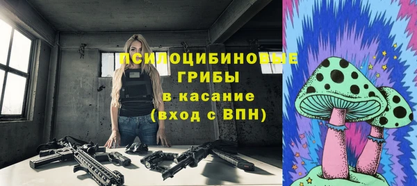 спайс Аркадак