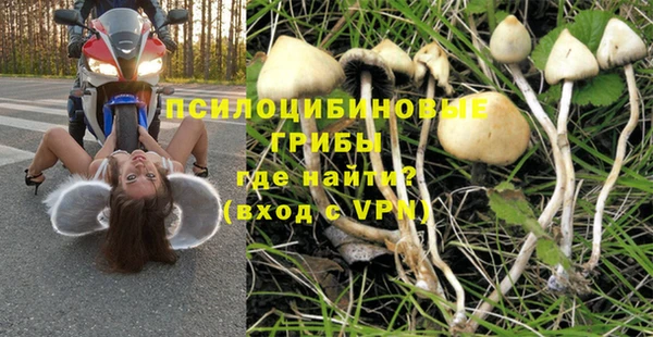 спайс Аркадак