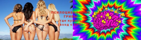 спайс Аркадак